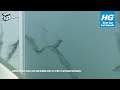 schimmelvlekkenreiniger 0,5l | video 1