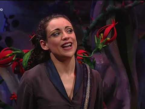 Melevisione 2005 - 089 - Troppa magia!