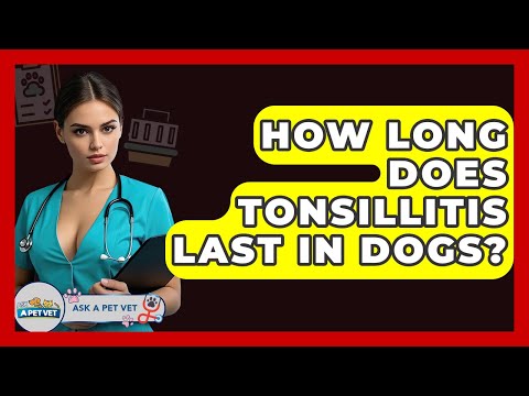 How Long Does Tonsillitis Last In Dogs? - Ask A Pet Vet