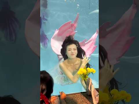 "This Ultraman is so mean, he stole my pearls and fed me lollipops." #mermaid #beautiful