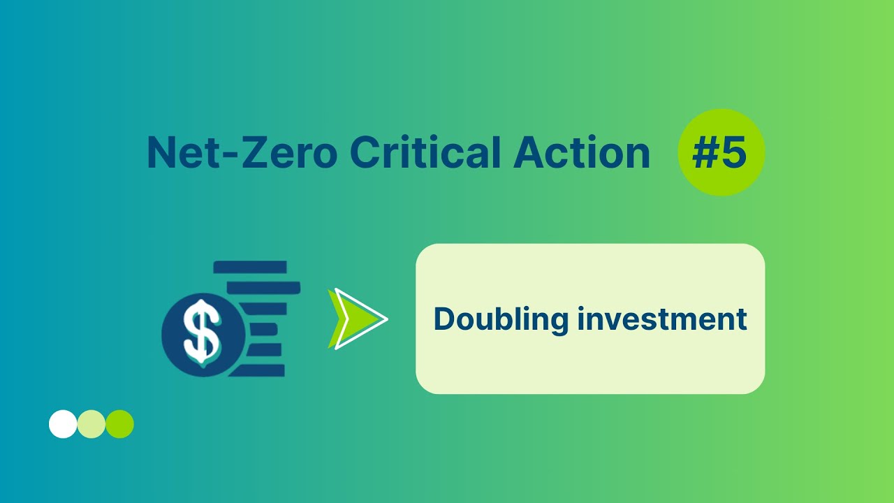 Critical action 5: Doubling investment in the transition