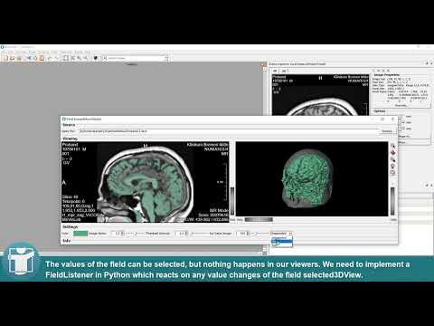 Mevislab Tutorials Application Development Prototype Ui And Python Scripting