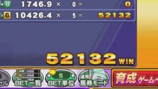 (コナステ)カラコとおまけで馬！