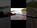 Video Thumbnail for Never give up!! Finally  I got this pike #short #riverfishing #pikefishing #shorts