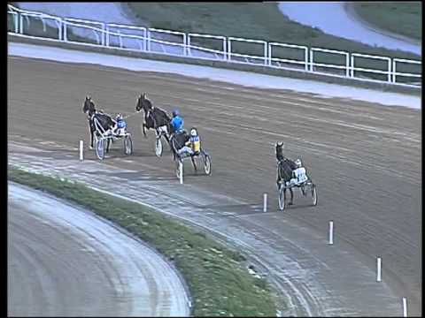 Trotto 28/02/2016 - prova di qualifica