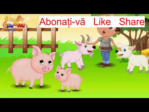 Speranta pentru copii Colaj 1. Gospodarul din Ardeal