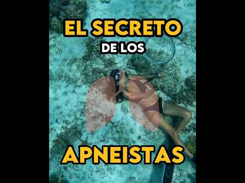 Consejos antes de sumergirte en el juego