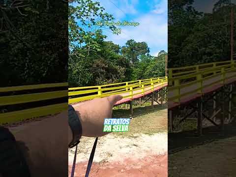 ✨ Onde a selva encontra a paz: Bom Sucesso, São Paulo de Olivença-AM 🌴