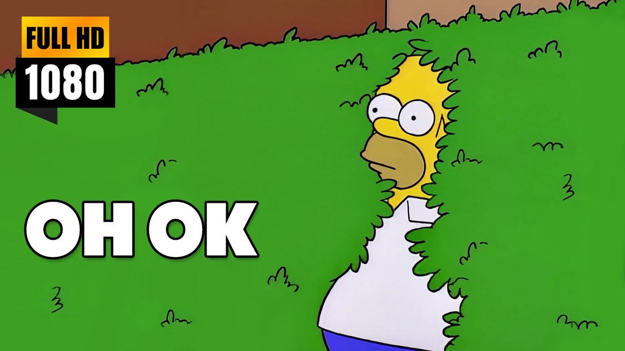 Homer Simpson OH OK Meme
