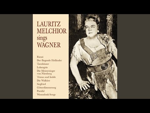 Rienzi: Allmächt´ger Vater, blick herab!