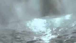 MADLIB JAZZ malik flavors - storm