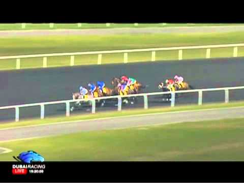 26.01.2012 Meydan (Dubai UAE) 2.Race Dubai Duty Free Foundation - Handicap 1.400 m