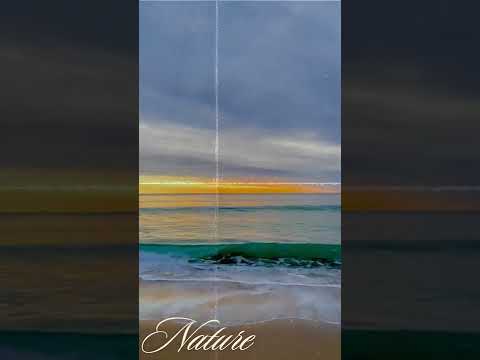 Beautiful Beach 🌞 Video