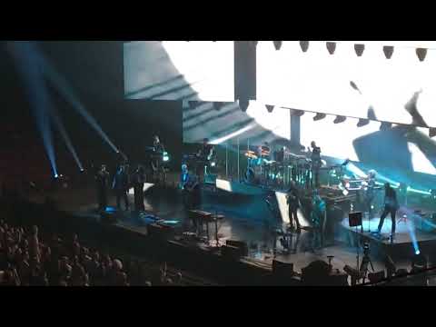 Roxy Music - The Bogus Man