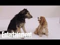 The Furry Stars Of Lady And The Tramp Tell All PeopleTV Entertainment Weekly