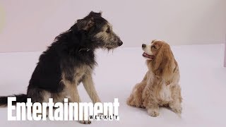 The Furry Stars Of 'Lady And The Tramp' Tell All | PeopleTV | Entertainment Weekly video