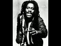 Dennis Brown - Brother Stop The Fussing Fighting