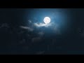 Video Background Stock Footage Free In The Night Sky Mystical Moon Full Moon In The Clouds