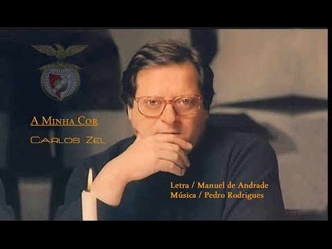 Carlos Zel  _  A Minha Cor