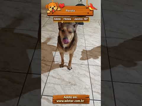 Vídeo de Perola