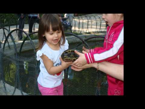 Happy Birthday Nicoleta