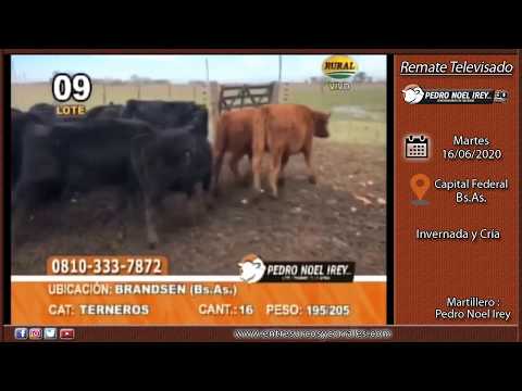 16-06-20 - Remate Televisado de Pedro Noel Irey - Capital Federal