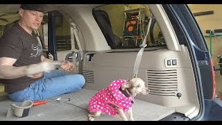 2003-2006 Ford Expedition: Rear HVAC Temperature Blend Actuator Clicking Repair