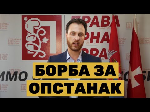 AKO I DLAKA BUDE FALILA MILANU KNEŽEVIĆU DOŽIVJEĆU TO KAO DA STE NANIŠANILI MOG BRATA PO KRVI