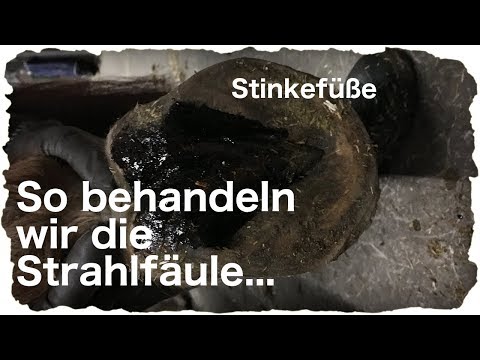 Das Knie Ultraschall Penza Preis Foto ausgerenkt Knöchel
