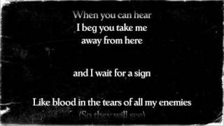 Demon Hunter - "Blood In The Tears"