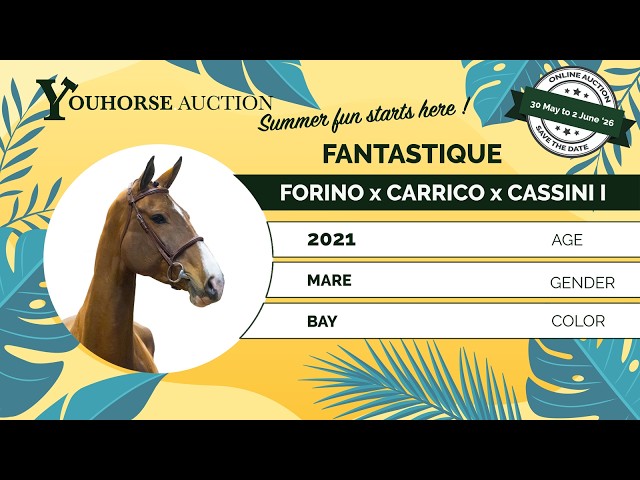 Fantastique