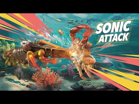 How the Pistol Shrimp Wields a Sonic Weapon