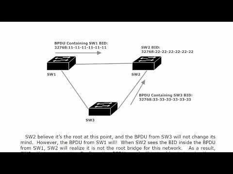 1 Fund 1 The Dawn Of Man Switching CISCO CCNP COURSE FOR BEGINNER TUTORIAL FUNDAMENTALS REVIEW