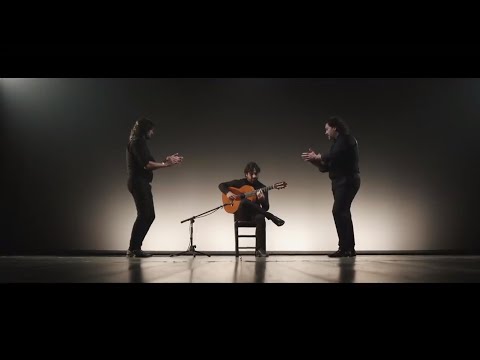 Daniel Casares - Trasmallo | Alegrías Guitarra Flamenca