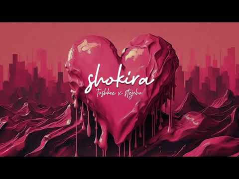 Toshkee x Stejcho - Shokira (Visualizer)