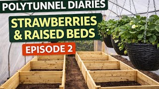 🎥 ✅ 🌿 Polytunnel Diaries Episode 2 🎥 | Strawberries, Raised Beds & Allotment Progress Update