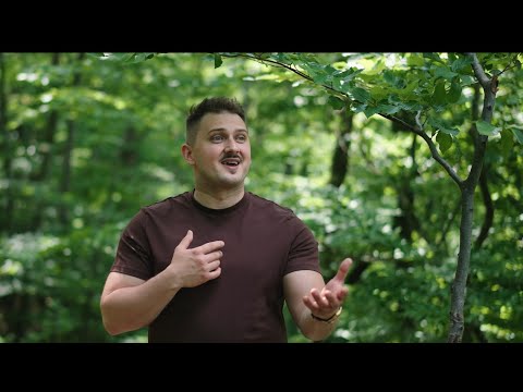 Prin dureri - Simeon Folfa (Official Video)