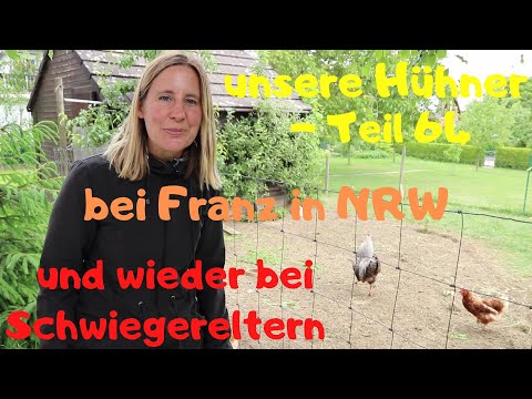 Our Chickens Part 64: Visiting Franz and his in-laws with a rooster in heat in North Rhine-Westph...