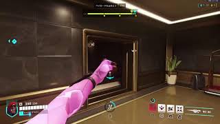 Overwatch　パッション