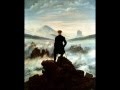 Nebelung - Graue Nacht 