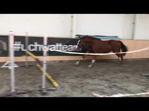 Global Express x Quaprice Bois Margot x Narcos II