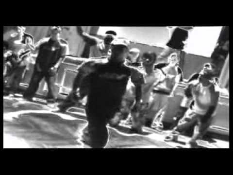 Black v-ner   X treme