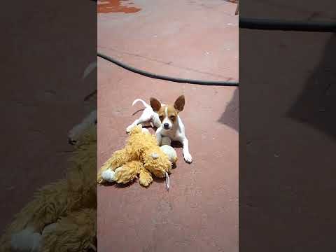 5 de septiembre de 2025