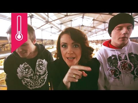 Vilnius Temperature ( -2°C) | Skamp feat. Artrace - Revolution