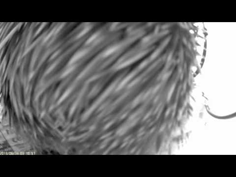 DualCam 02 - Nobody Likes a Bully