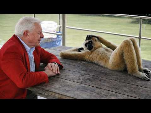 When Animals Being Absolutely Hilarious with Their Human 😂