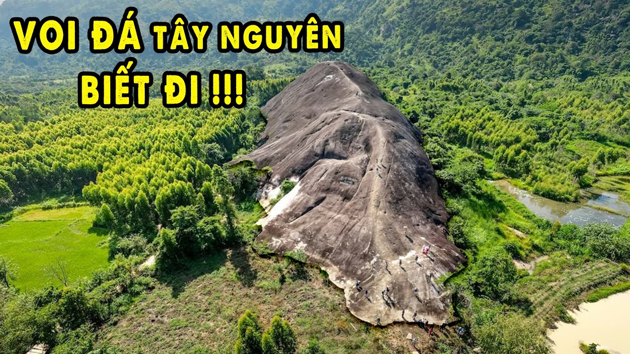 Chuyện lạ Voi Đá Biết Đi có khả năng Tiên Tri Tình Yêu | DakLand 5