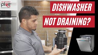 Easy Fix for Dishwasher Not Draining