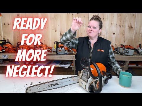 CPS Investigates:  Stihl MS170   (Chainsaw Protective Service)