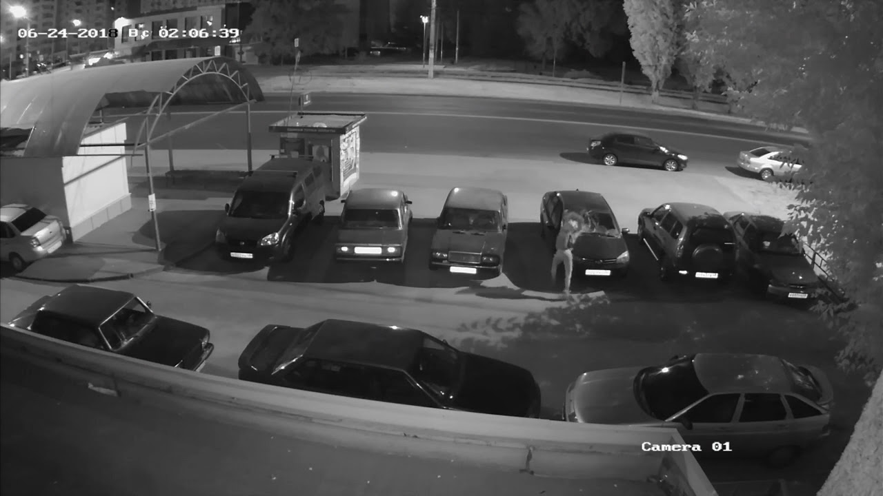 Беспечный водитель из Москвы лишился видеорегистратора в Липецке